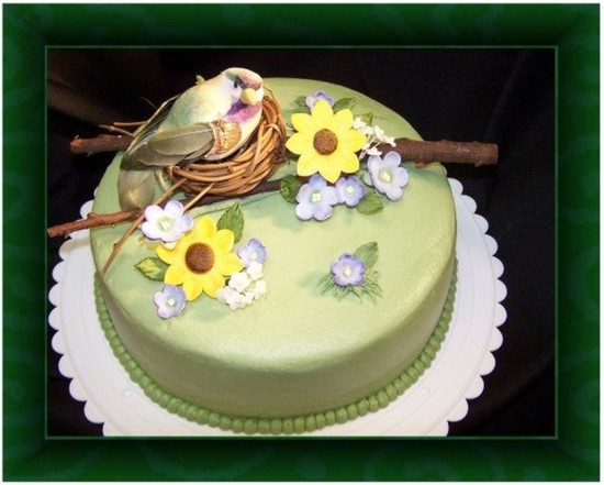 Bird Themed Baby Shower Cake - CakeCentral.com