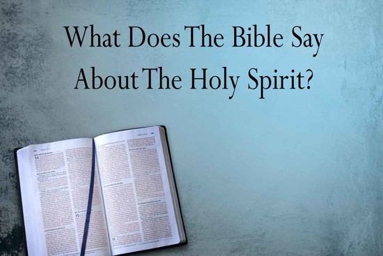 What Does The Bible Say About The Holy Spirit? - ViralBeliever