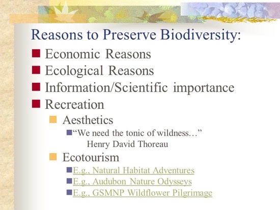 Sustaining Wild Things - Species - ppt download