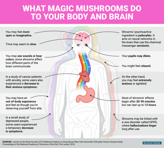 Mental and physical effects of magic mushrooms - Business ...
