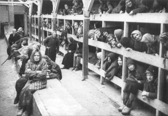 Auschwitz | Publish with Glogster!