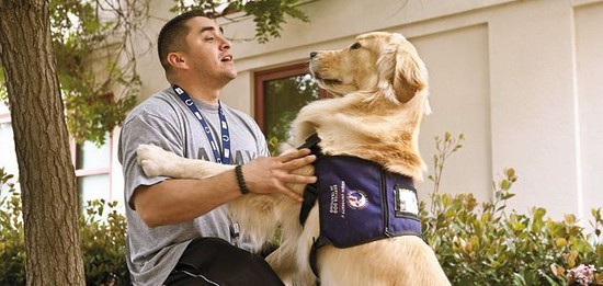 How Dogs Can Help Veterans Overcome PTSD | Science ...
