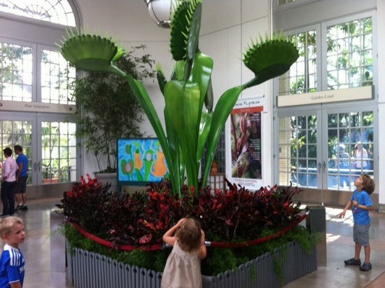 A Feast of Flora at the U.S. Botanic Garden | KidFriendly DC