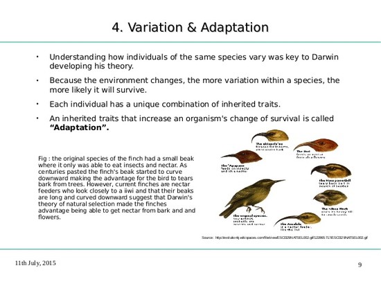 One of Darwin's principles is that minor variations in all ...