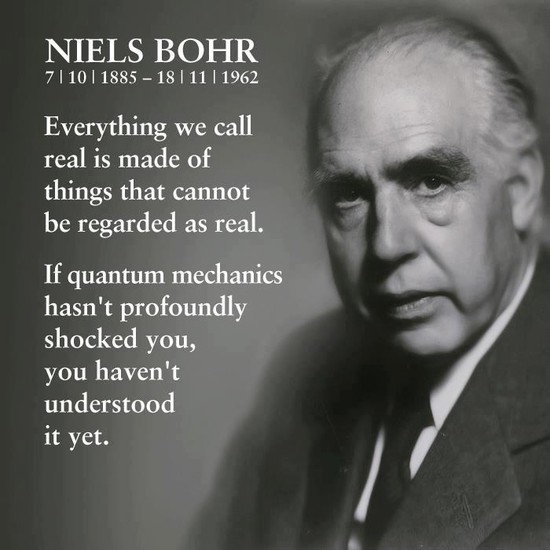 Niels Bohr: Physicist Who Took a Quantum Leap | The Quark ...