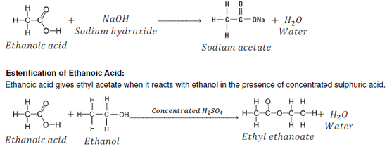 chemistry: Carbon and Its Compounds