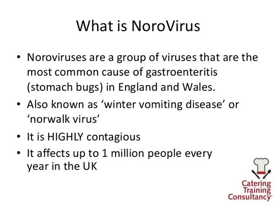 Powerpoint on Norovirus