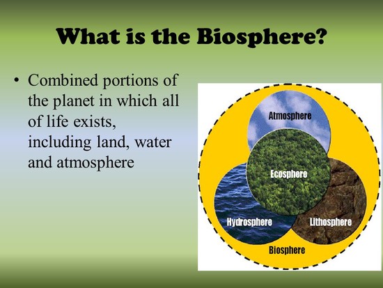 Review: The Biosphere. - ppt video online download