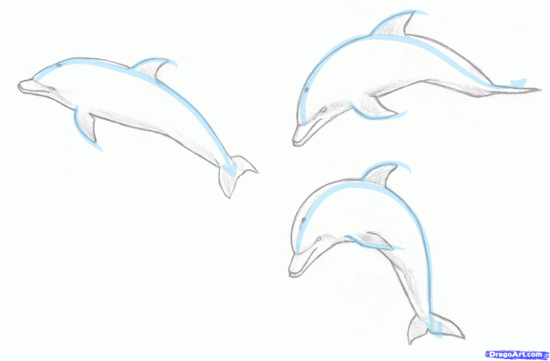 How to Draw a Jumping Dolphin, Step by Step, Sea animals ...