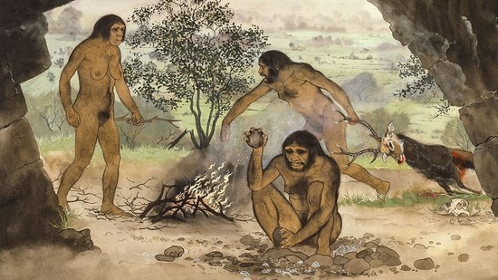 How sliced meat drove human evolution | Science | AAAS
