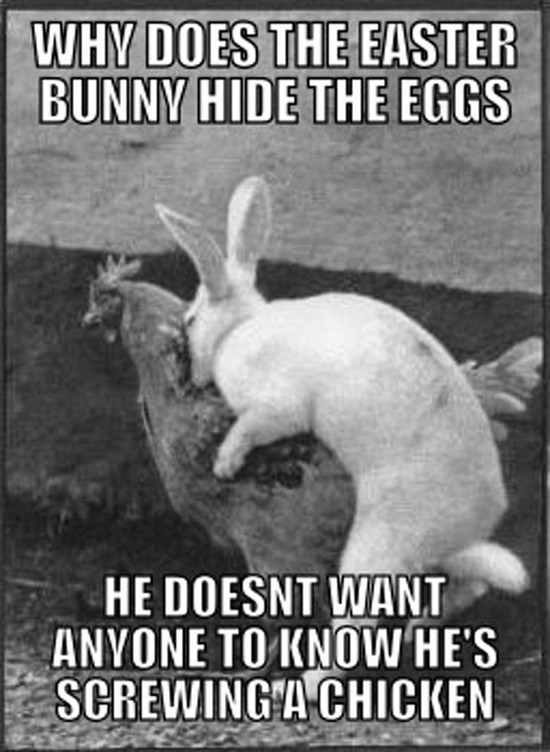 Funny Easter Bunny Memes – Memeologist.com