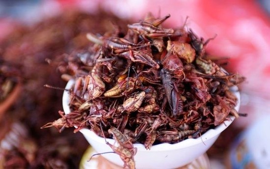 Does fried grasshopper taste like fried grub? - Quora