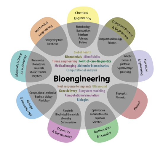 Is Bioengineering Right for Me? | UW Bioengineering