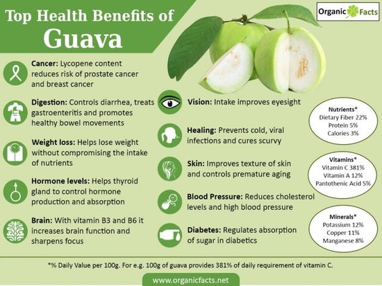 Guava – a fruit of adaptability – Superfruit? Kulwinder ...