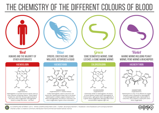 Compound Interest - The Chemistry of The Colours of Blood