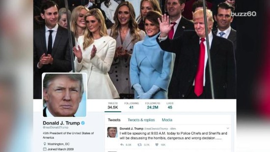 How many fake Twitter followers does Donald Trump have?