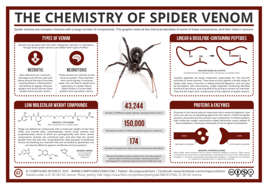 Compound Interest - The Chemistry of Spider Venom