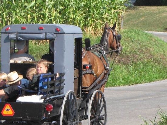 Amish Furniture Factory Blog | Learning & Loving Amish ...