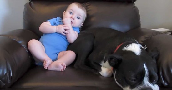 Baby poops in diaper next to dog. Dog’s response has ...