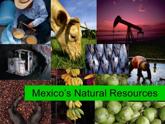 Mexico’s natural resources