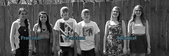 Fraternal Twins vs Identical Twins - Difference and ...