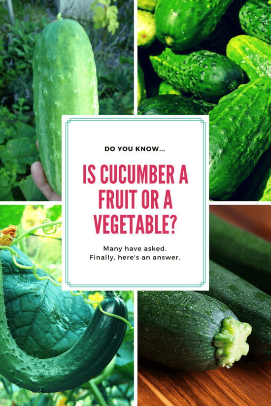 [FINALLY ANSWERED] Is Cucumber a Fruit or Vegetable?