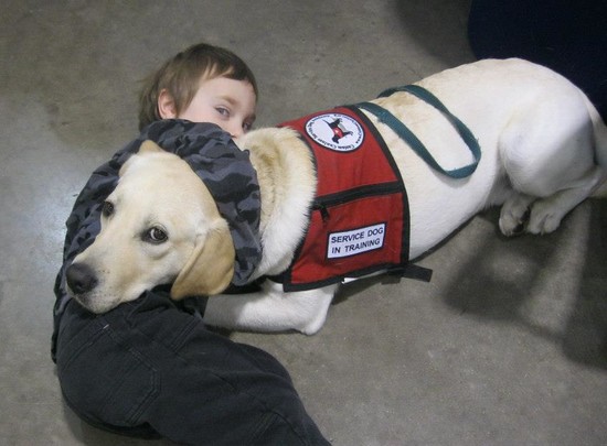 Autism Service Dog Program Provides Support for our ...