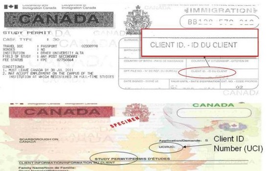 Study permits and visas – International