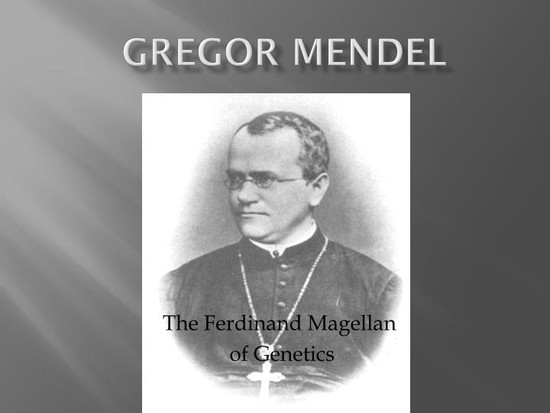 PPT - Gregor Mendel PowerPoint Presentation - ID:2500502