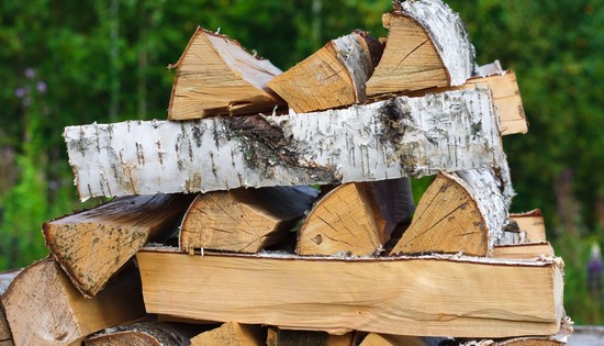 What is the best firewood to burn for your wood stove ...
