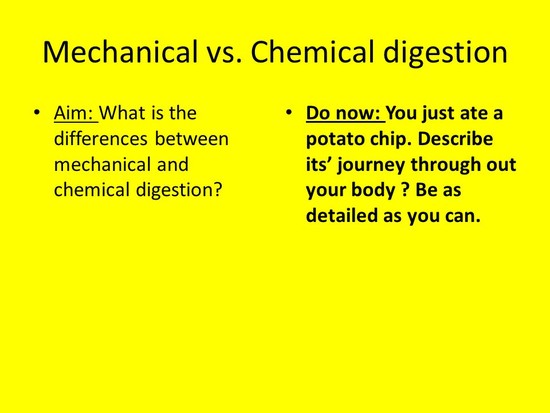 Mechanical vs. Chemical digestion - ppt video online download