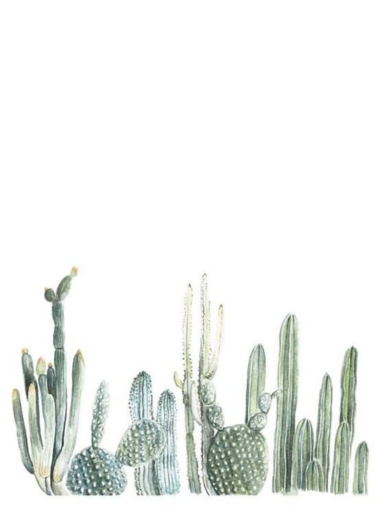 Cactus Watercolor Print by Follow Hollow Design ...