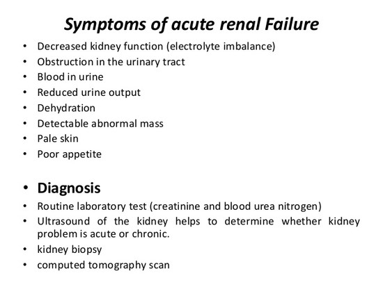 Acute and chronic renal failure