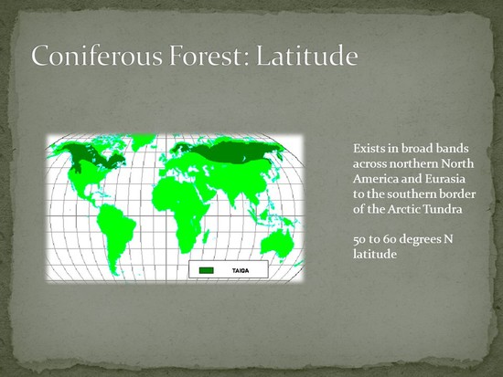 Biome Project Coniferous Forest, Tundra, Temperate ...