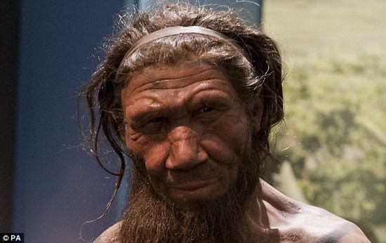 Neanderthals appear to have lived with BADGERS and BEARS ...