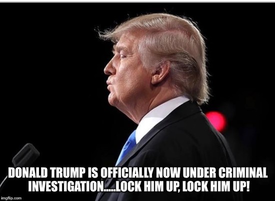 Donald Trump The Criminal - Imgflip
