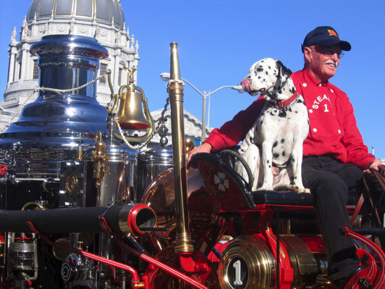 Why do firehouses like to use Dalmatian dogs?