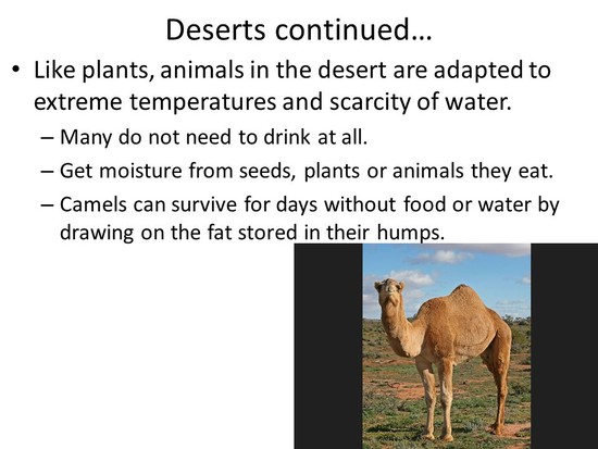 Chapter 2, Section 2 ECOSYSTEMS. - ppt download