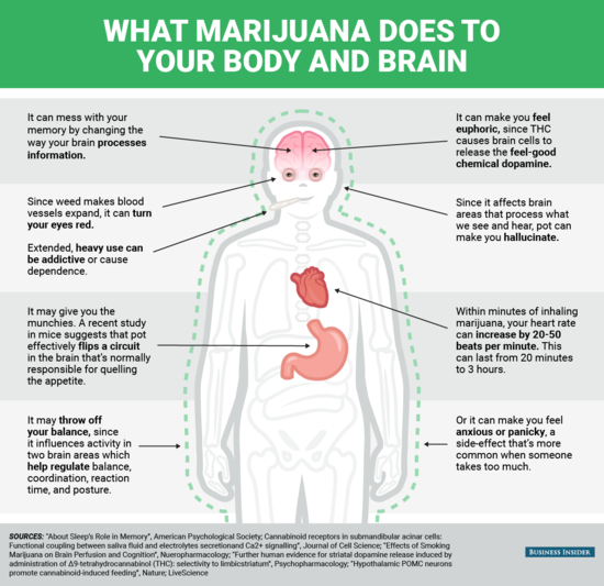Mental and physical effects of marijuana - Business Insider