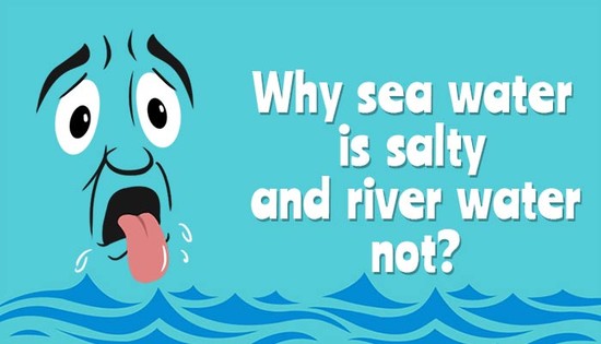 Why Sea Water is salty? - Geography for Kids | Mocomi