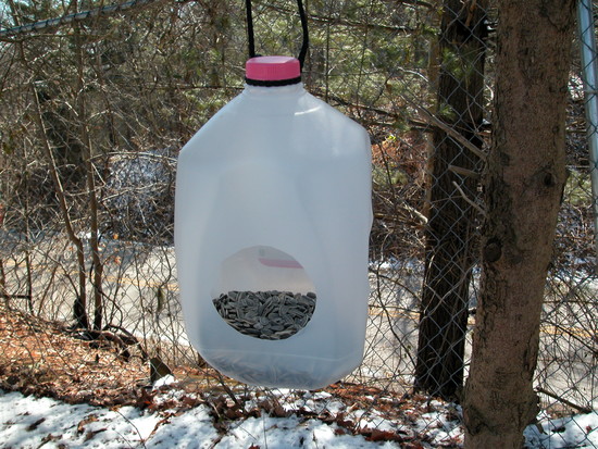 How to Build a Milk Jug Bird Feeder: 12 Steps (with Pictures)
