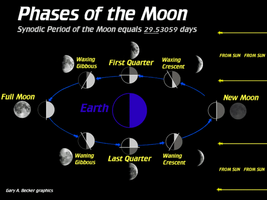Lunar Cycle