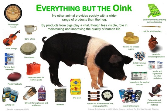 Products from animals