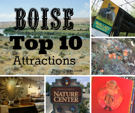 Top 10 Family Attractions In Boise - The Pork Diaries