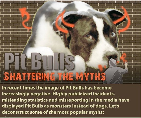 25+ best ideas about Are Pit Bulls Dangerous on Pinterest ...