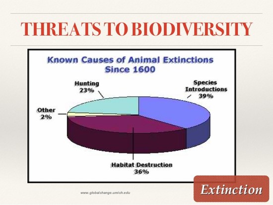 BIODIVERSITY: definition, levels and threats