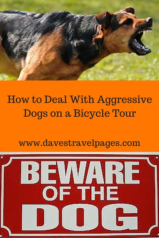 Dealing With Aggressive Dogs on a Bicycle Tour