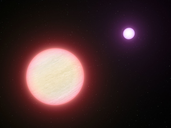 A very cool pair of brown dwarfs (w/ video)
