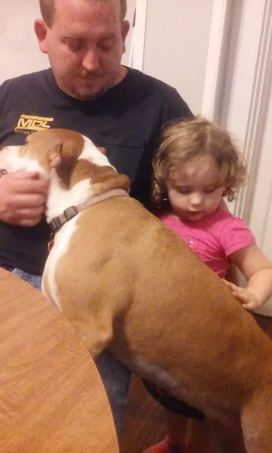 Can pit bulls be trusted around kids? | Dogs (pets) - Quora
