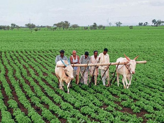 Why India's Youth Must Rescue Farming - Indian Youth